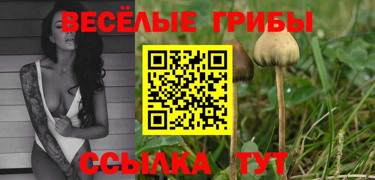 Псилоцибиновые грибы Psilocybine cubensis  Вход с VPN  Кудрово 