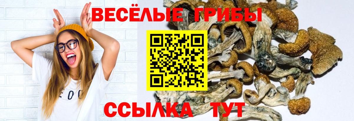 Галлюциногенные грибы прущие грибы Кудрово